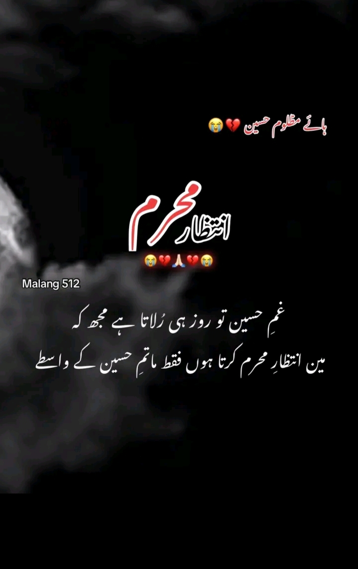 @عزادار حسین ع🫀
