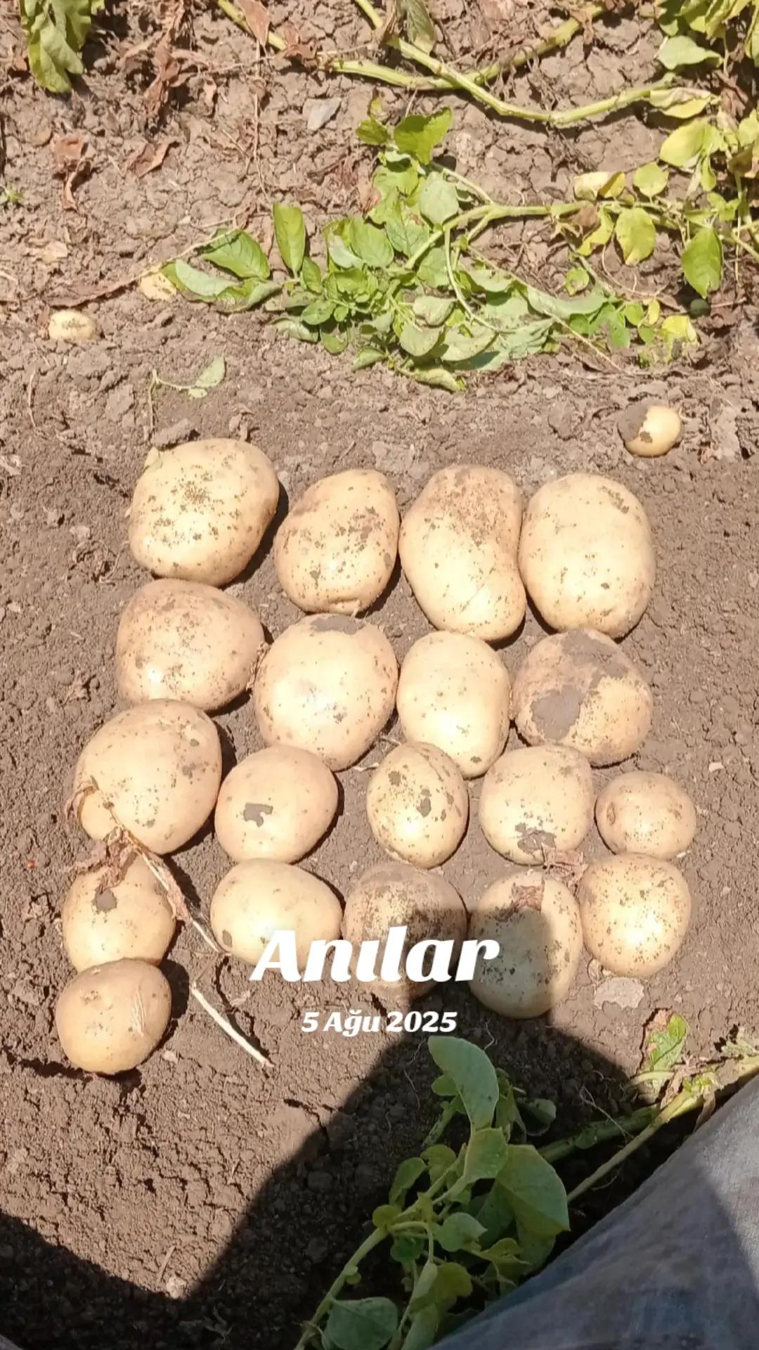 @merhaba g&uuml;zel insanlar