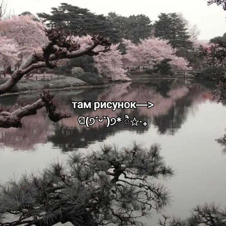 @ִ ࣪мага шурупъ₊˚