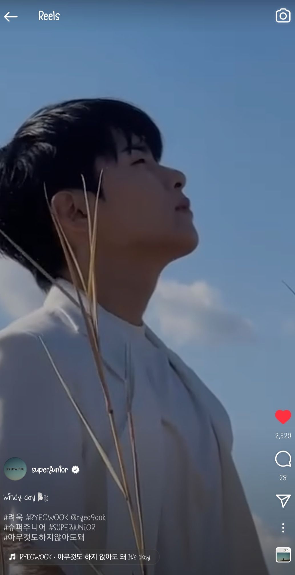 @Whyn 윈디야 || eternalwhyn