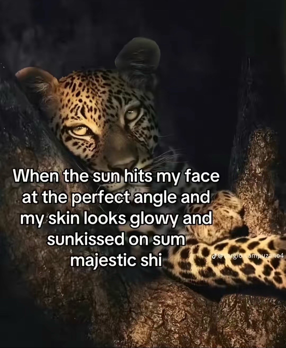 @il5uze