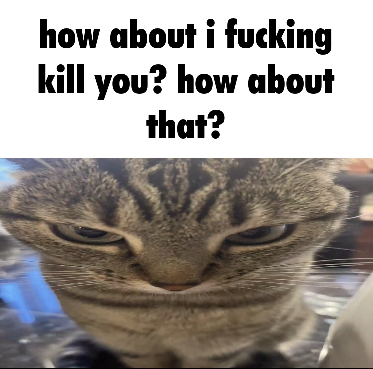 @Yakub🥚