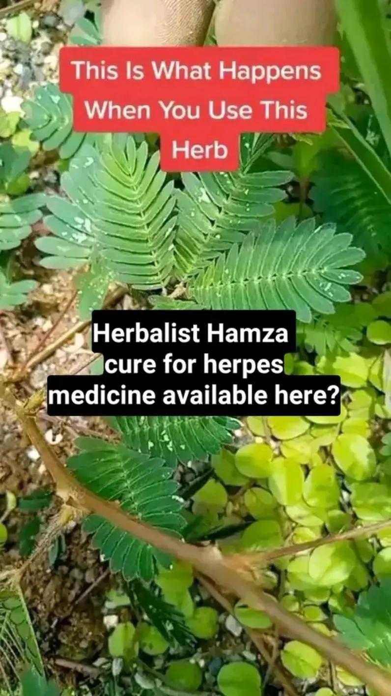 @Dr owoamaherbal 🌿🌿