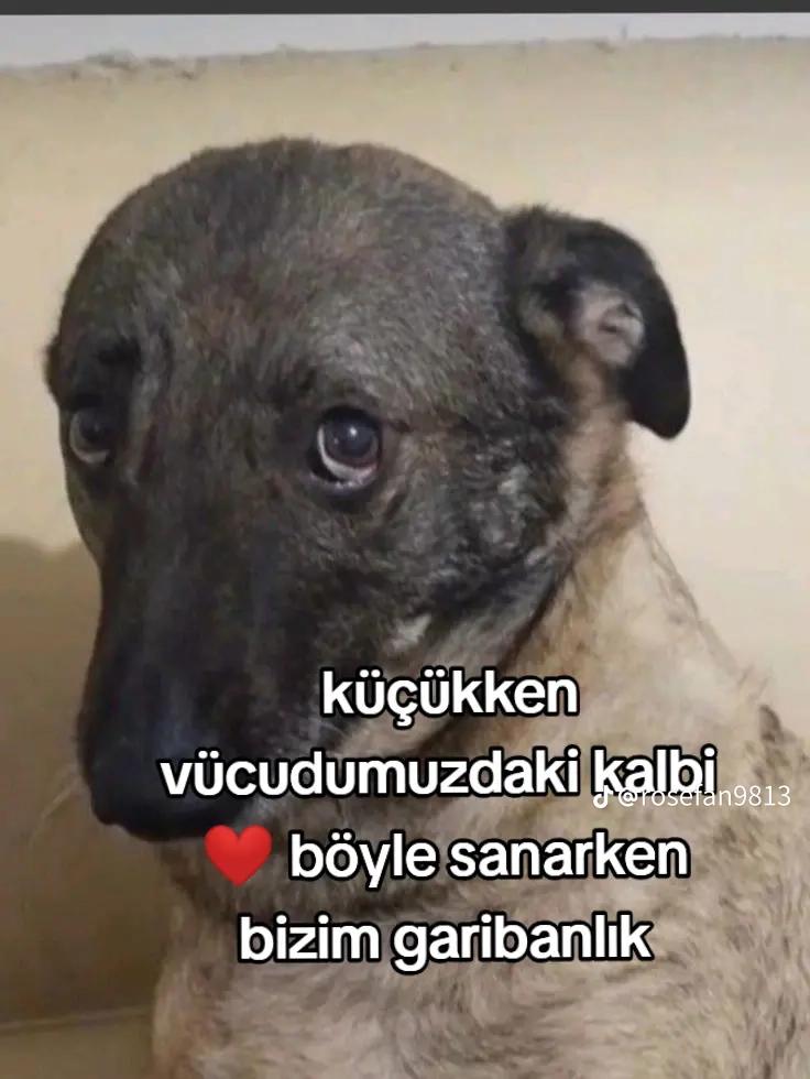 @Berfu🐿️