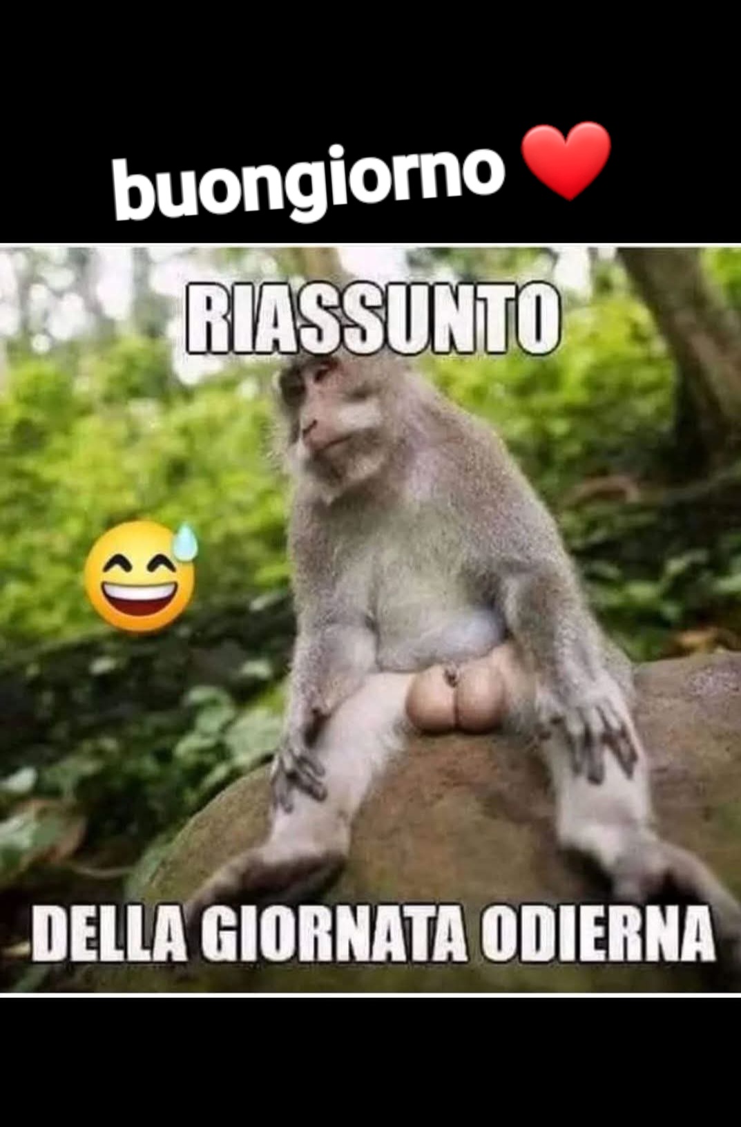 @luciasantorino6