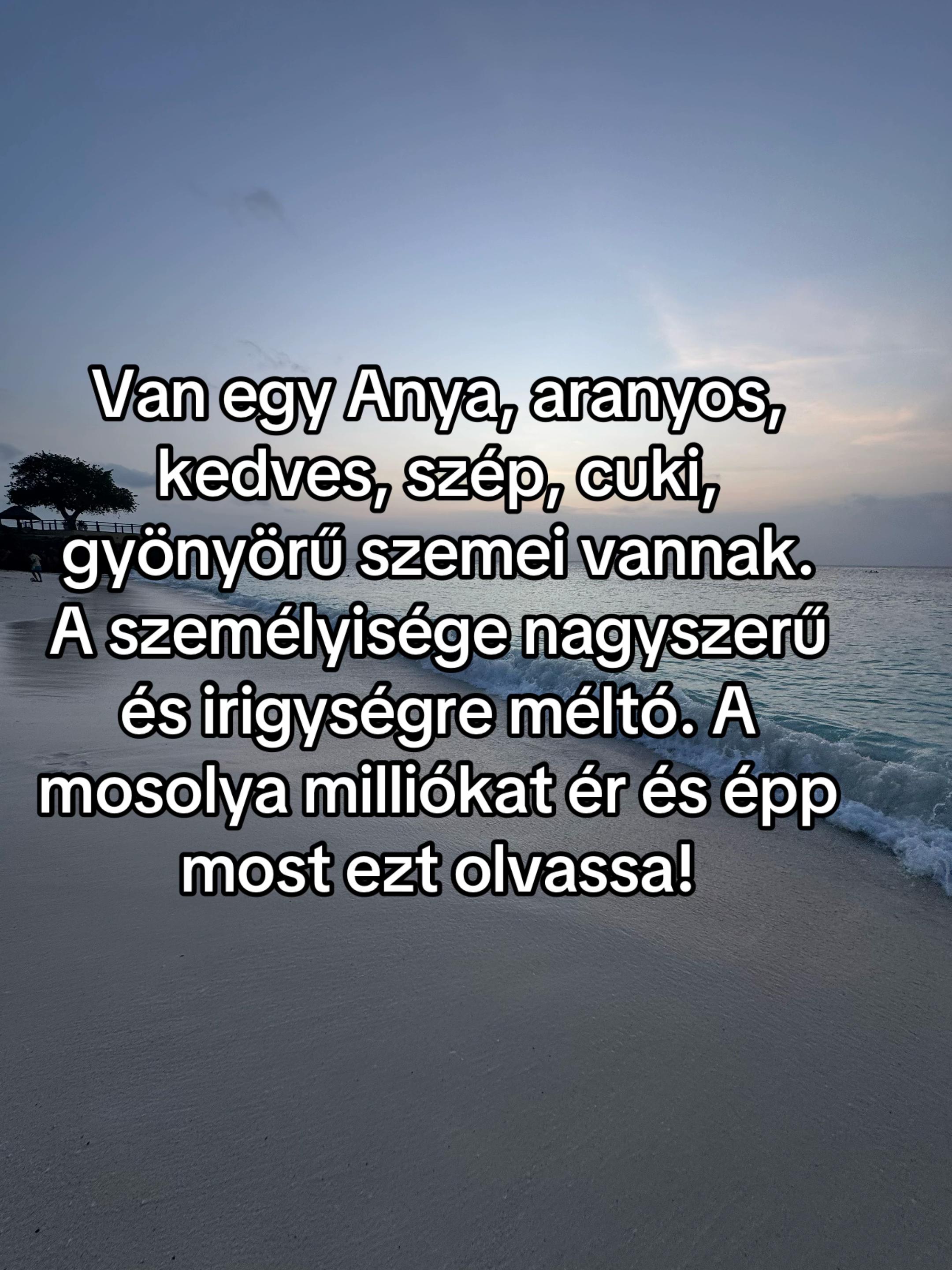 @Zsanzy Taki