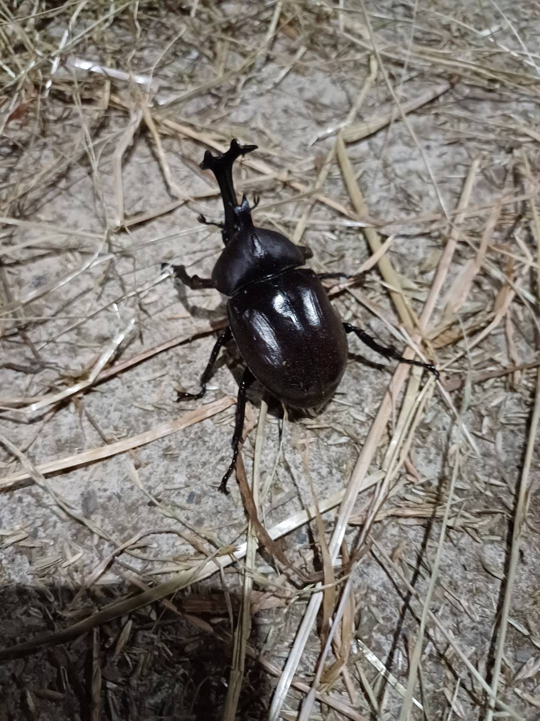 @⏰️ 거꾸로 가는 시계 ⏰️