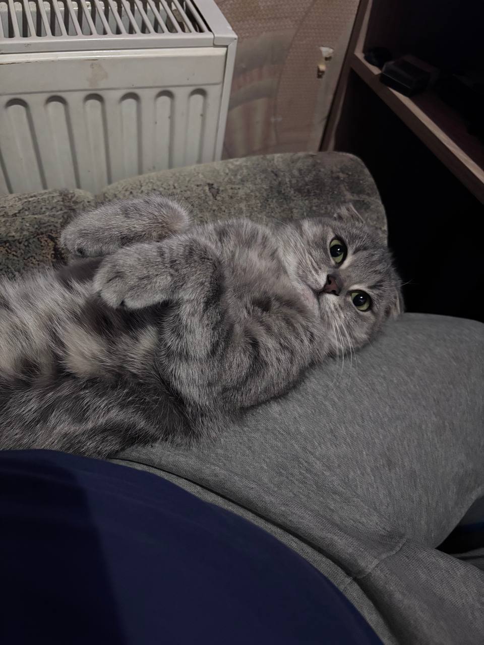 @Оленка з Ніжина