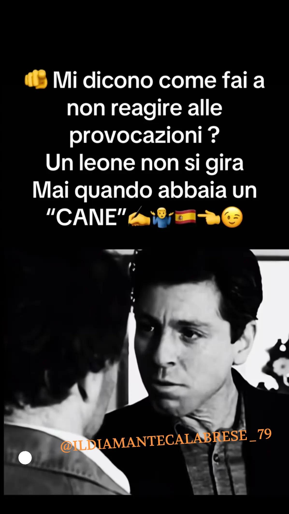 @IL DIAMANTE CALABRESE_79🌶️🌶️