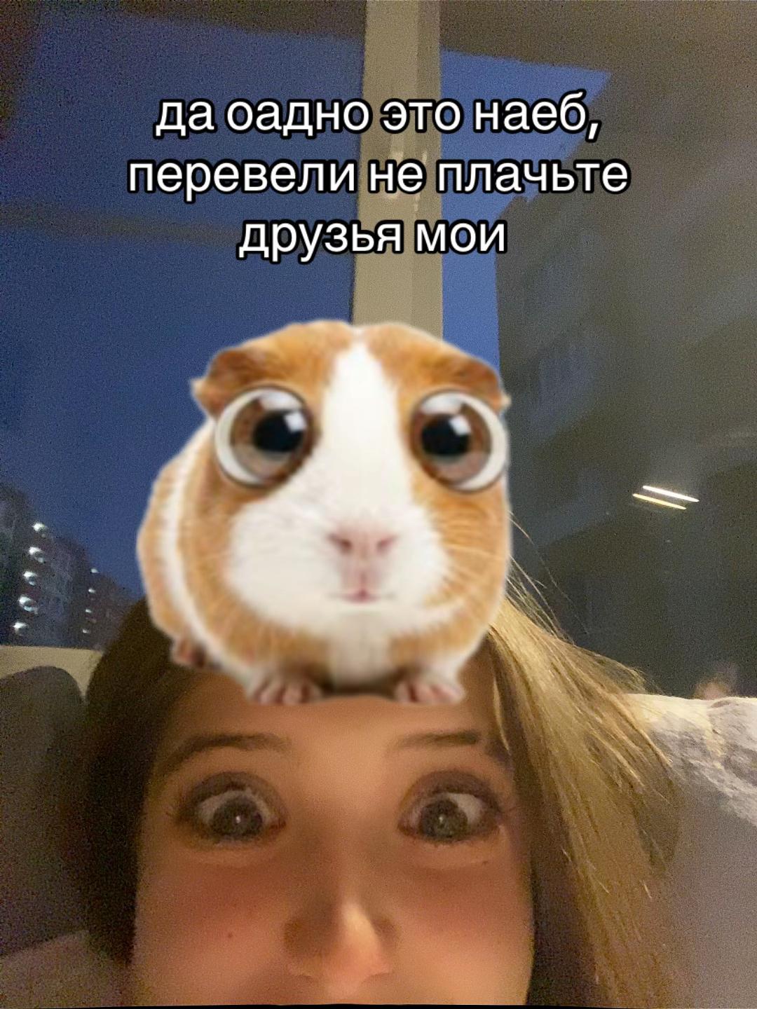 @бинга