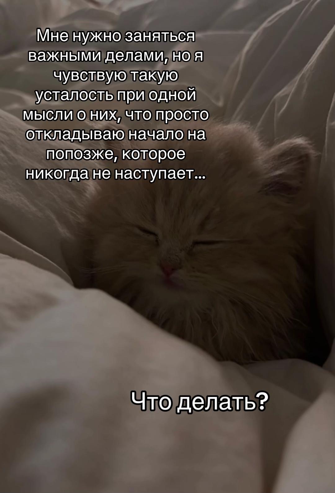 @тгк: психология с марго