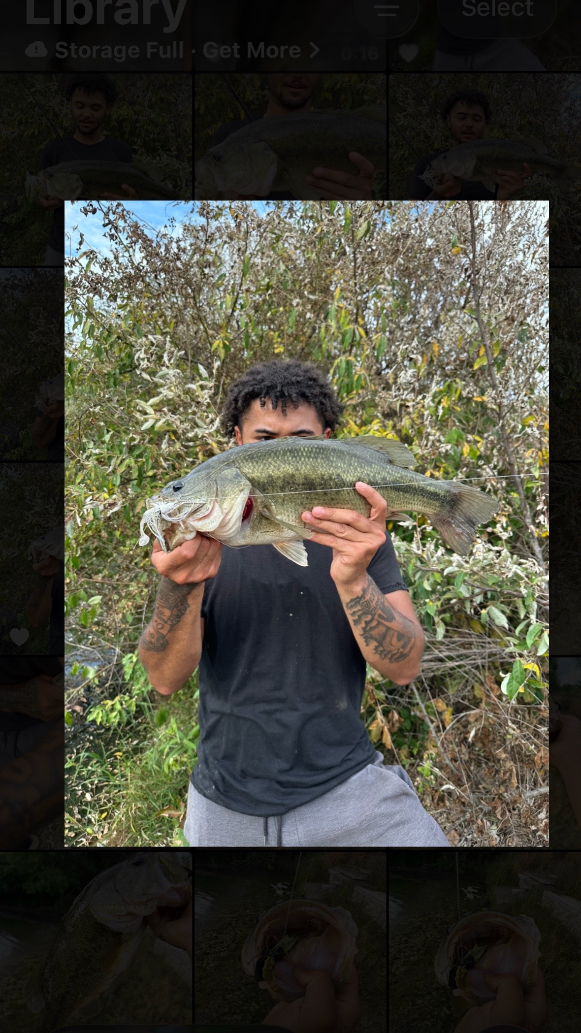 @BigBassFish