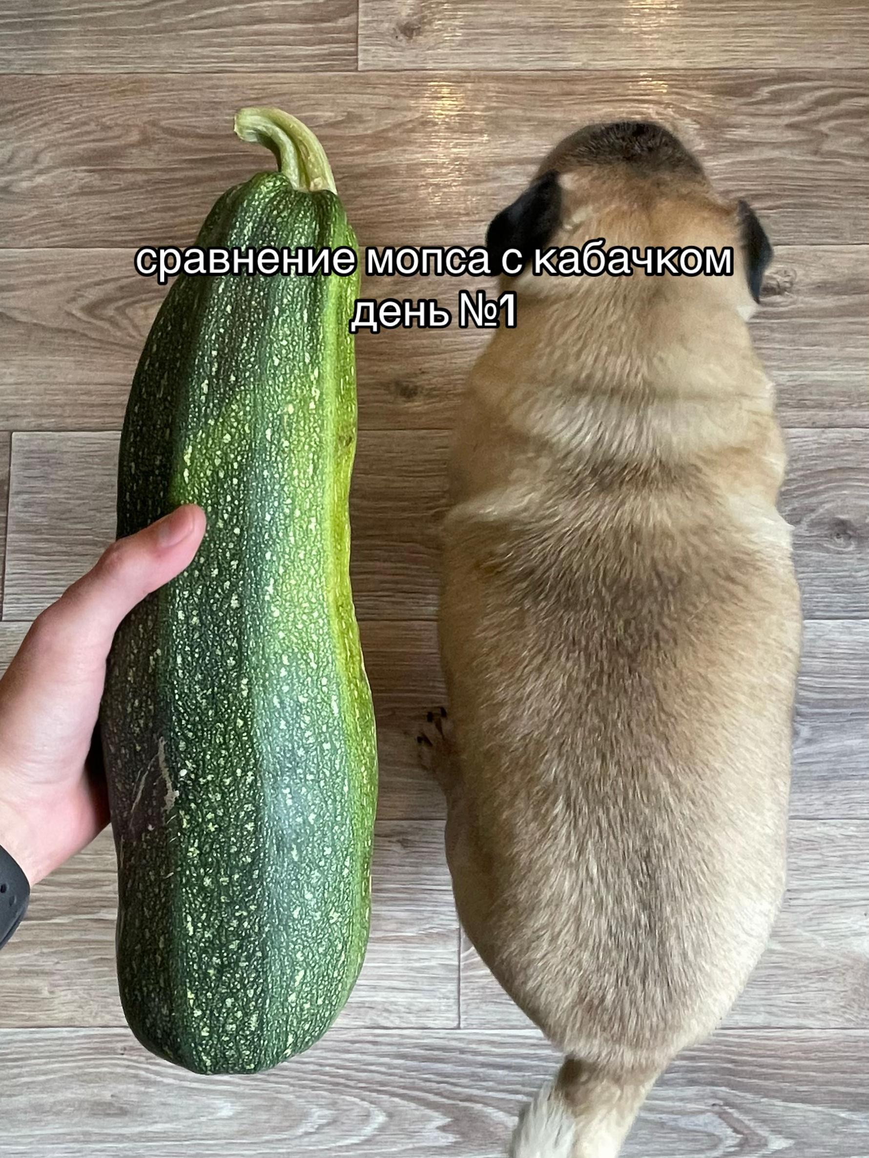 @0rar0_