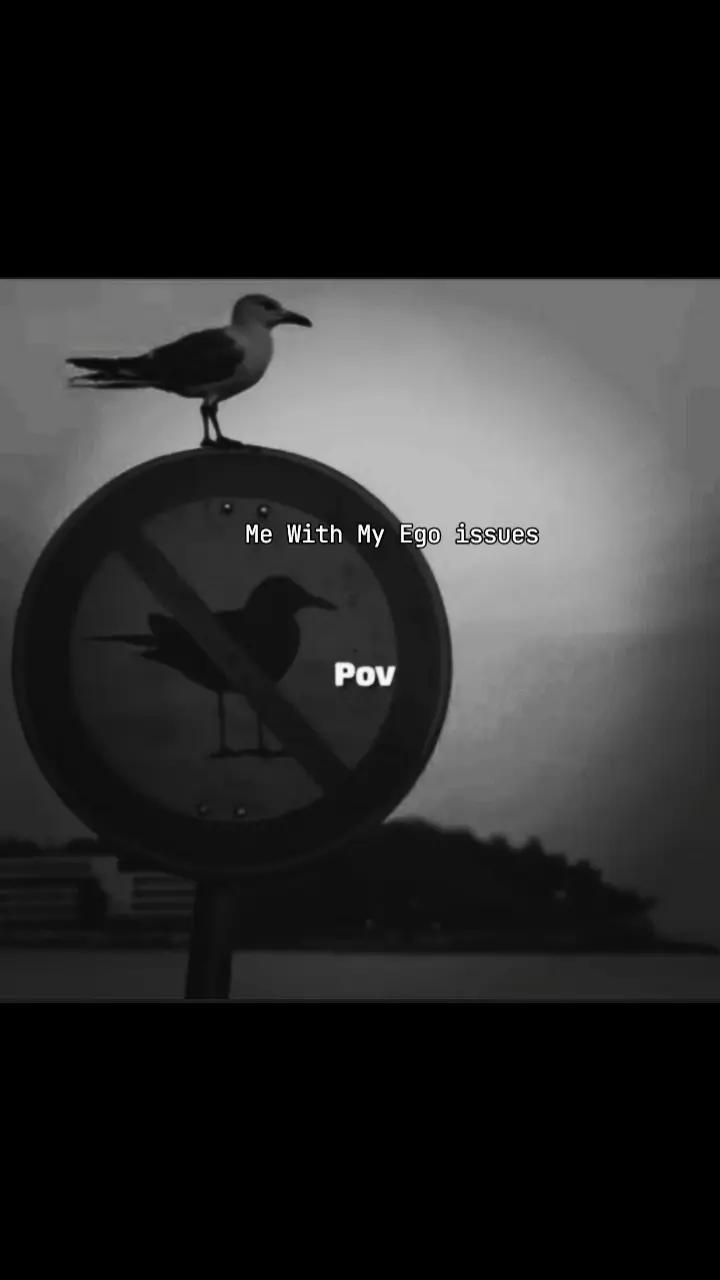 @✰ ⩇⩇:⩇⩇ ✰