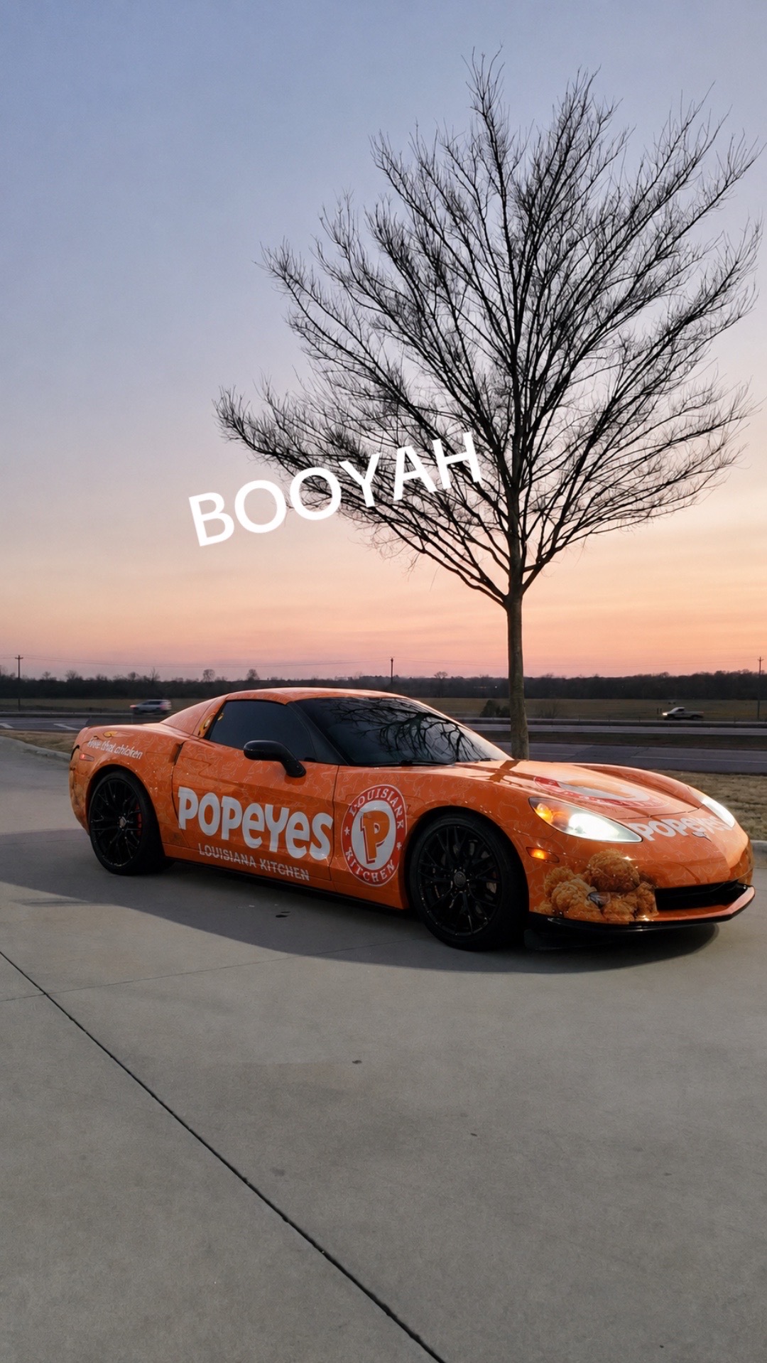@bray_c6