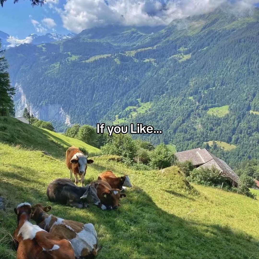 @PeakState