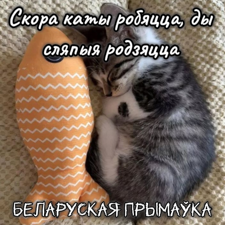 @Голас Продкаў