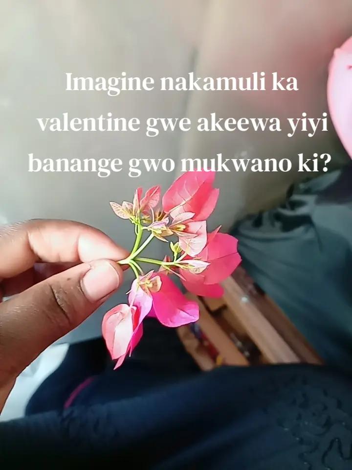 @my life ug TikTok