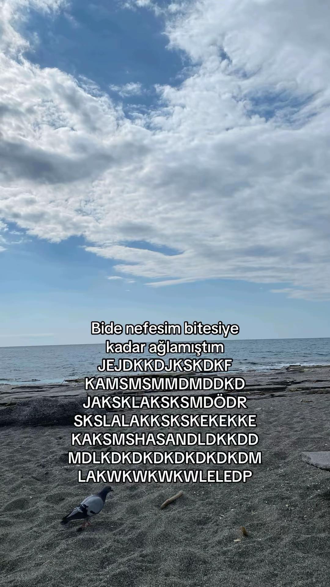 @alsuaskinibendennnn