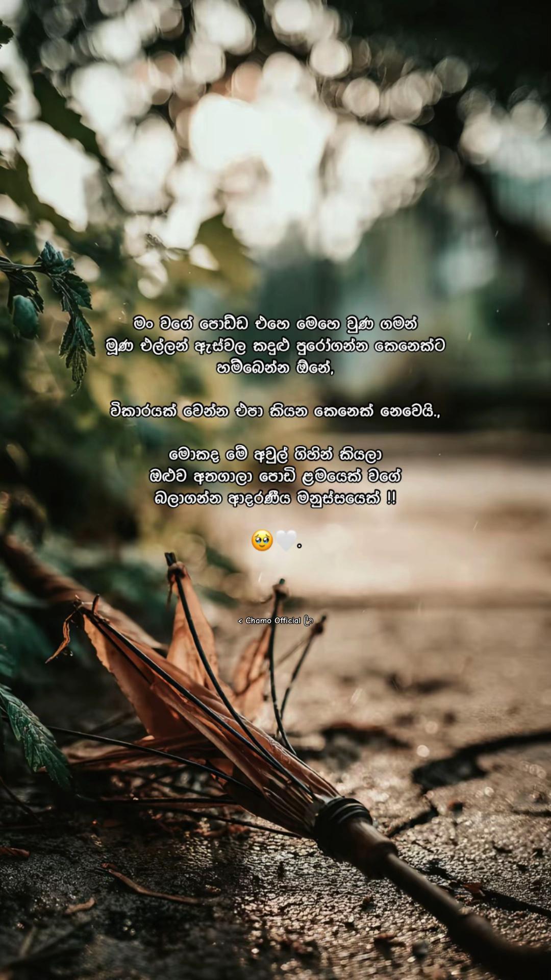 @< 𝐂𝐡𝐚𝐦𝐨 ᥫ᭡