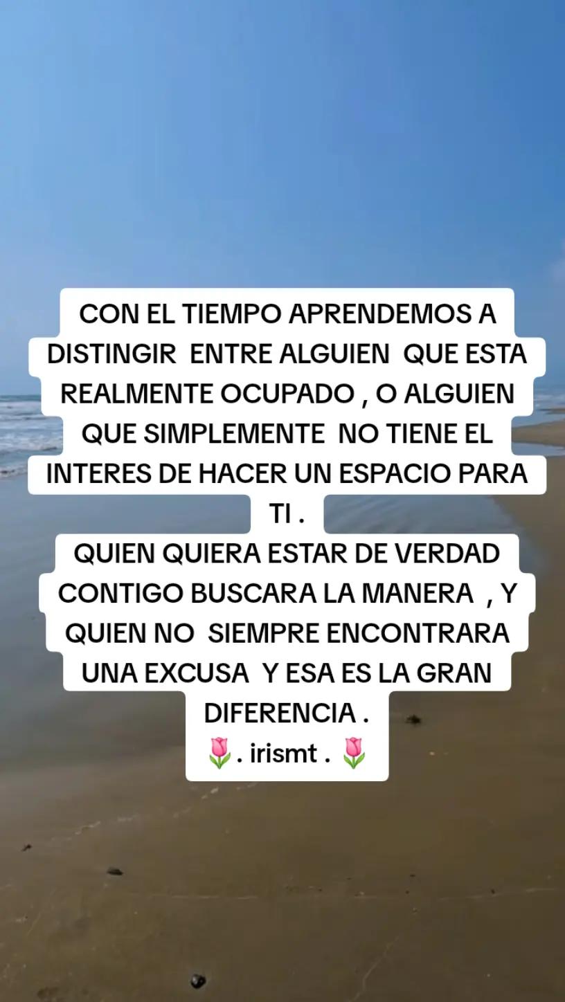 @irismartz