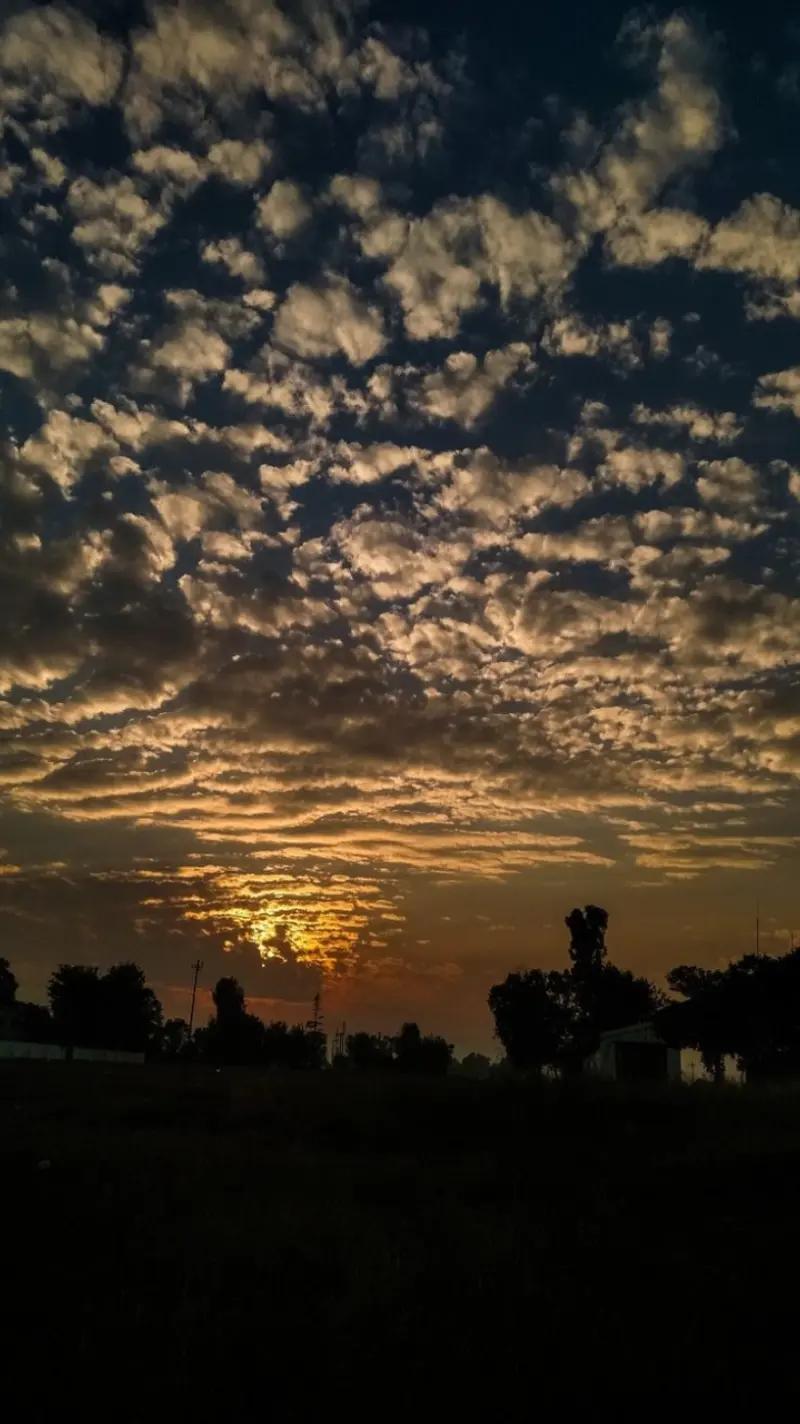 @Arooj Bukhari❣️