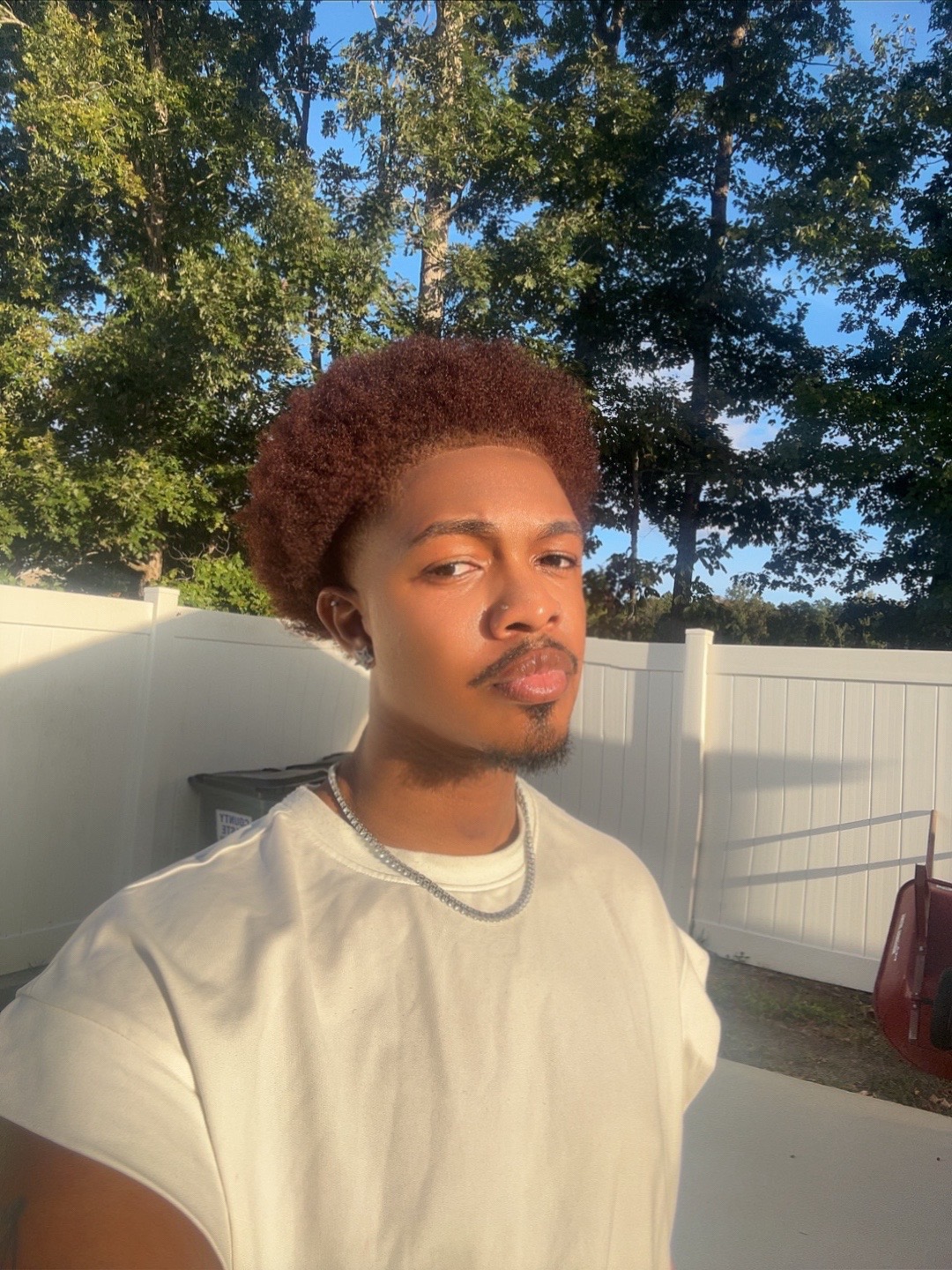 @Theogfranko