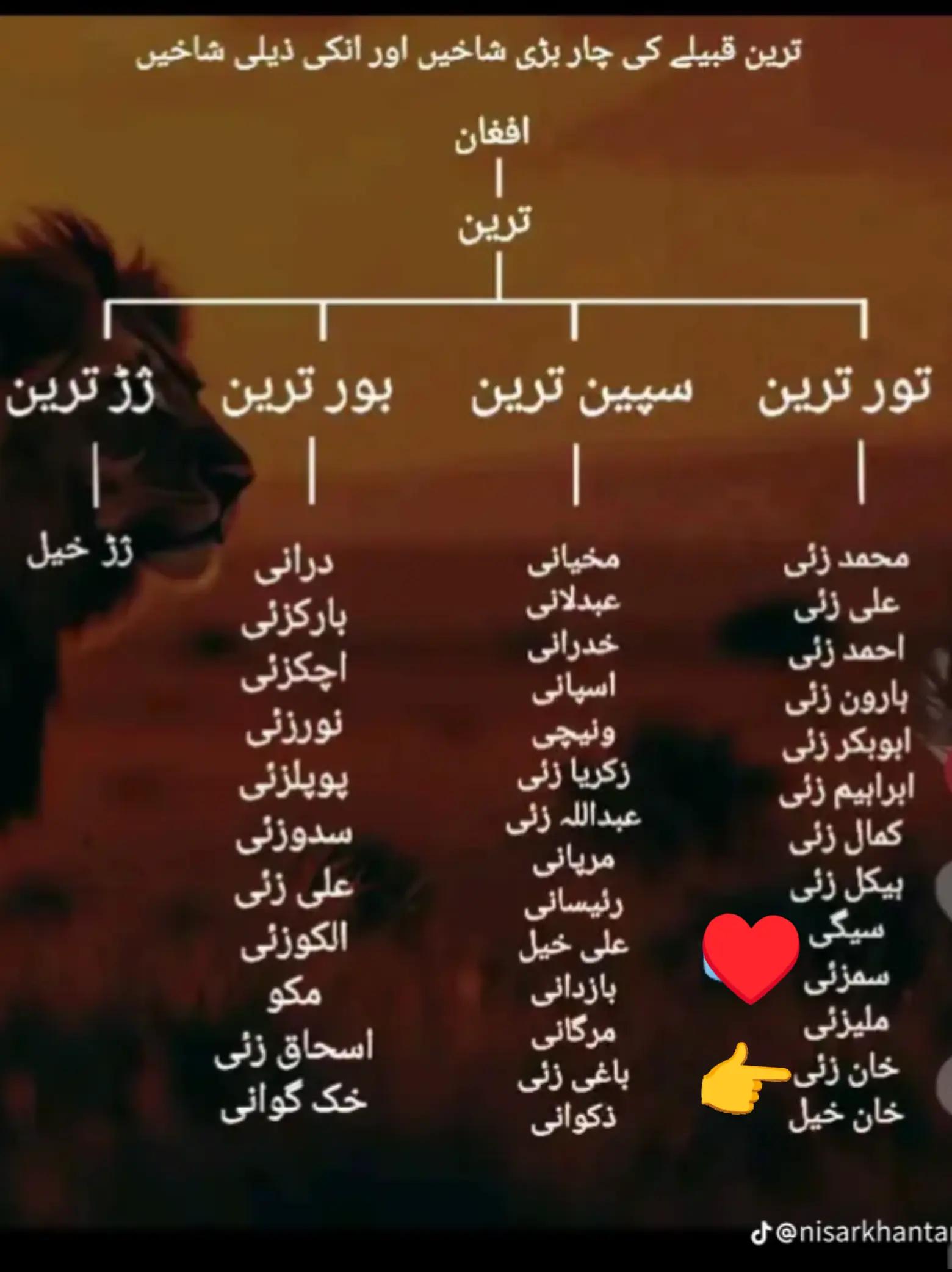 @🌿مظفرترین🌿