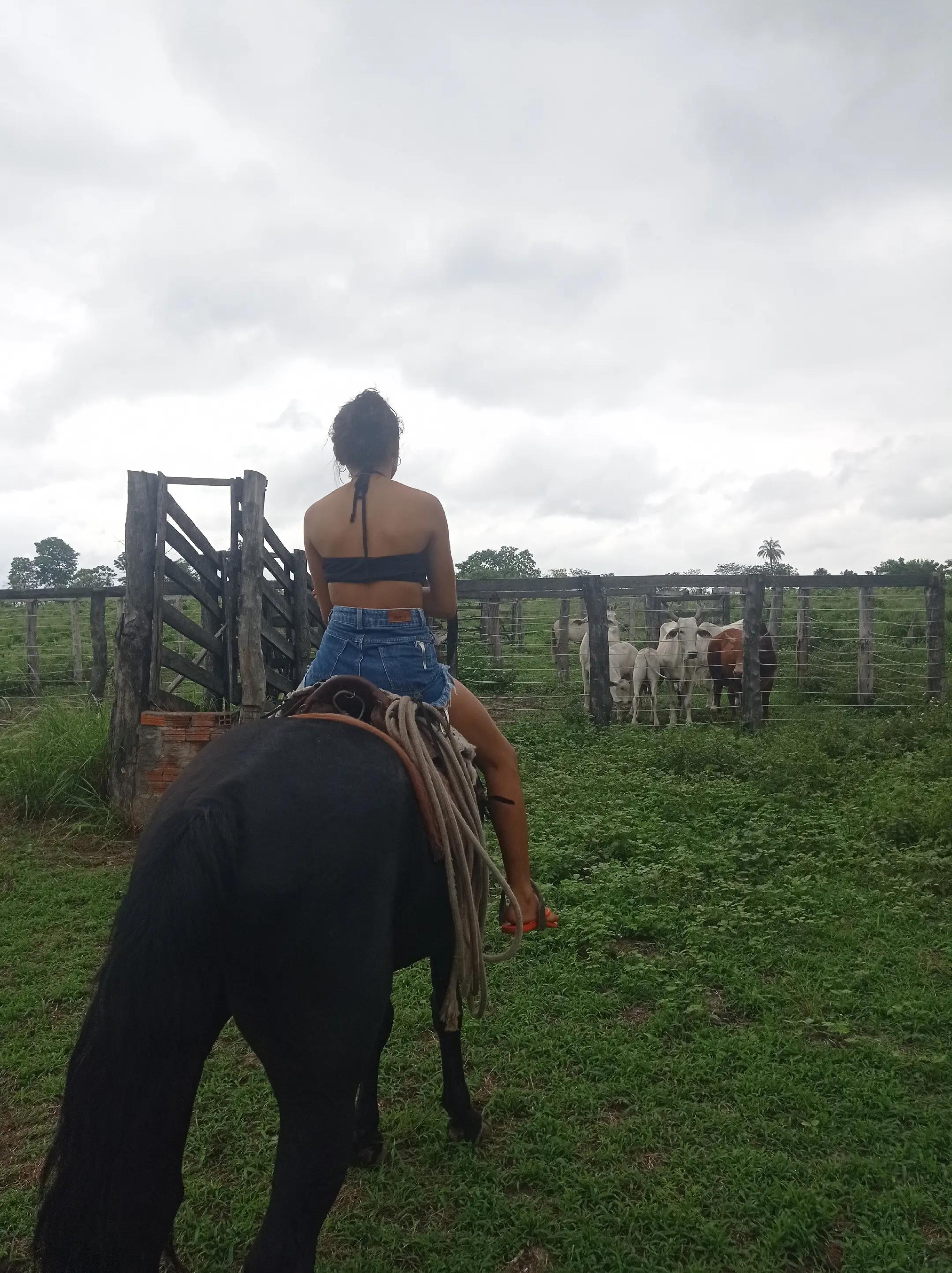 @mary_forrozeira_ofc05