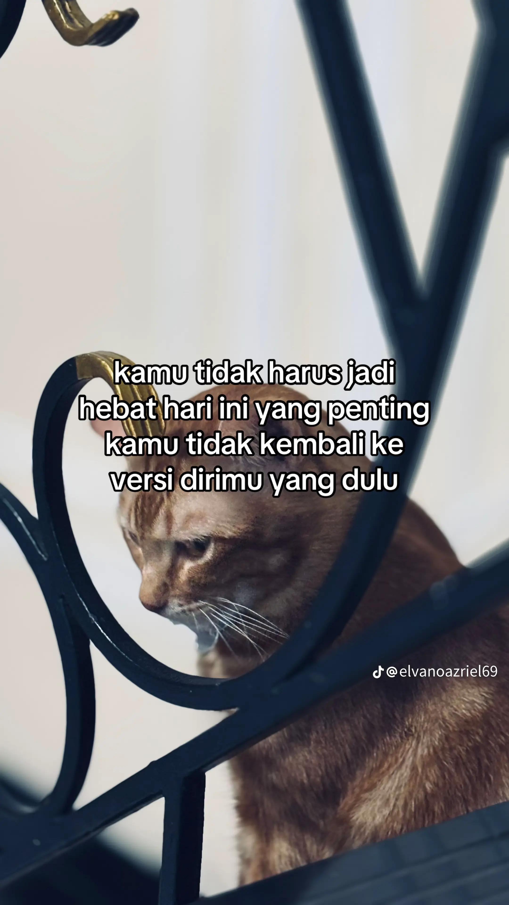 @BerkahKostPutra_