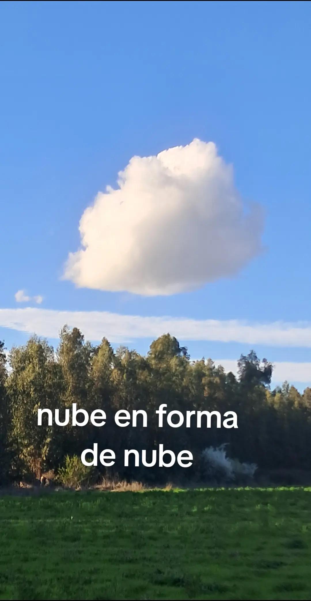 @tomi