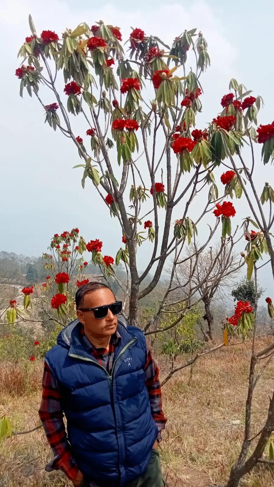 @Tank Pokhrel