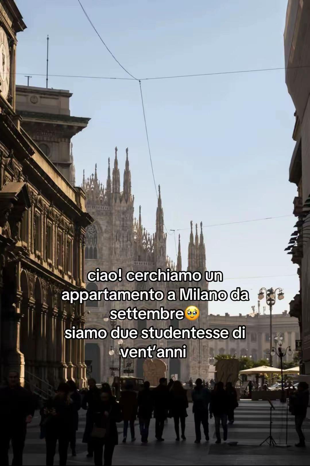 @accountspamm