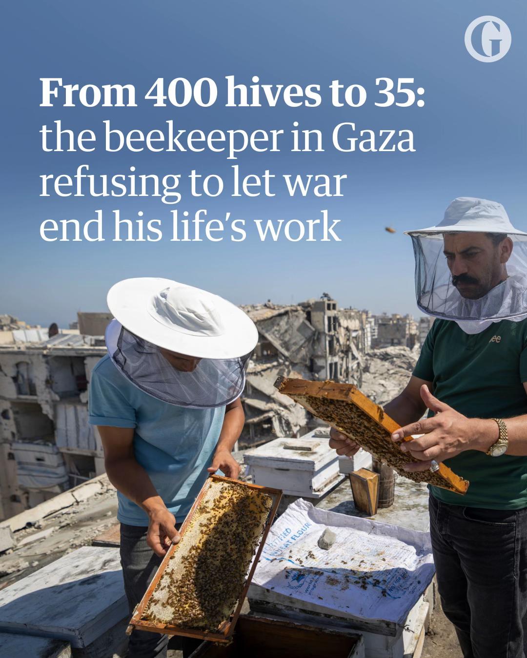 @The Guardian