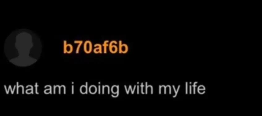 @&iquest;