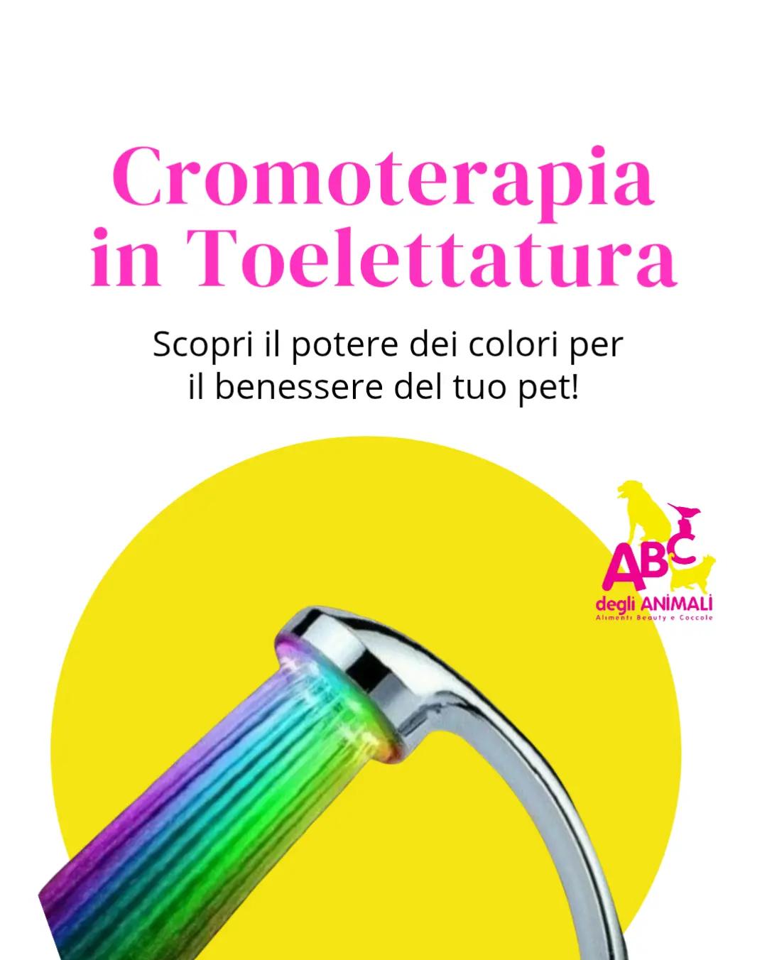 @ABC toelettatura Verona