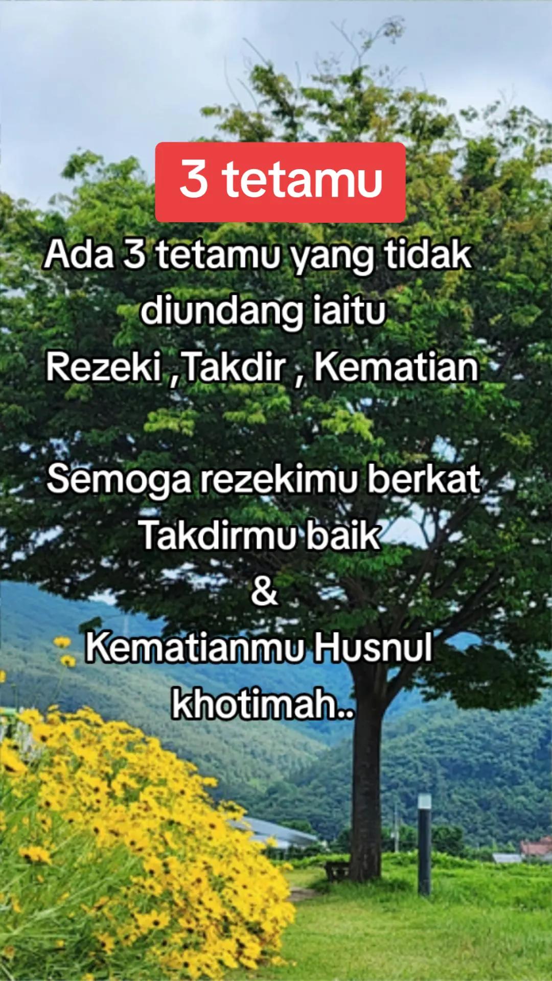 @EIZZwANRoSSY™