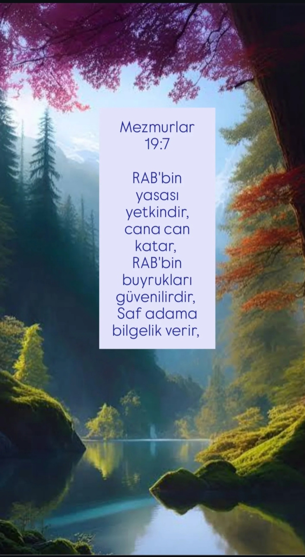 @Mehmet BELLİ