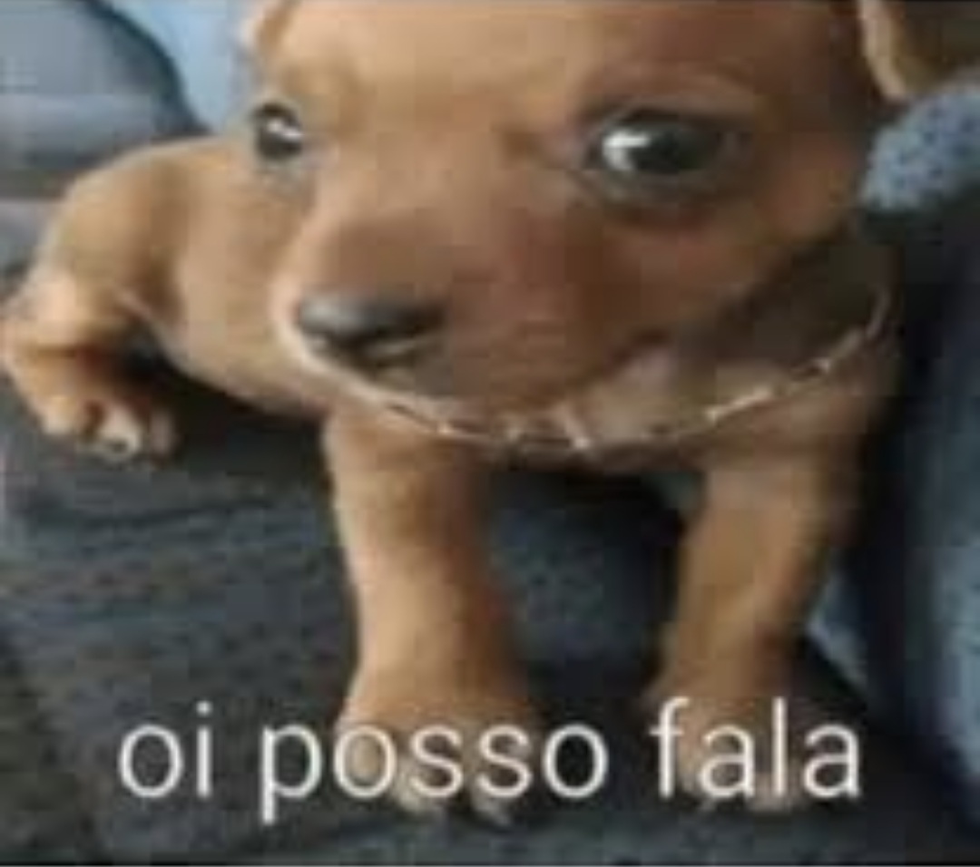 @sjsbs