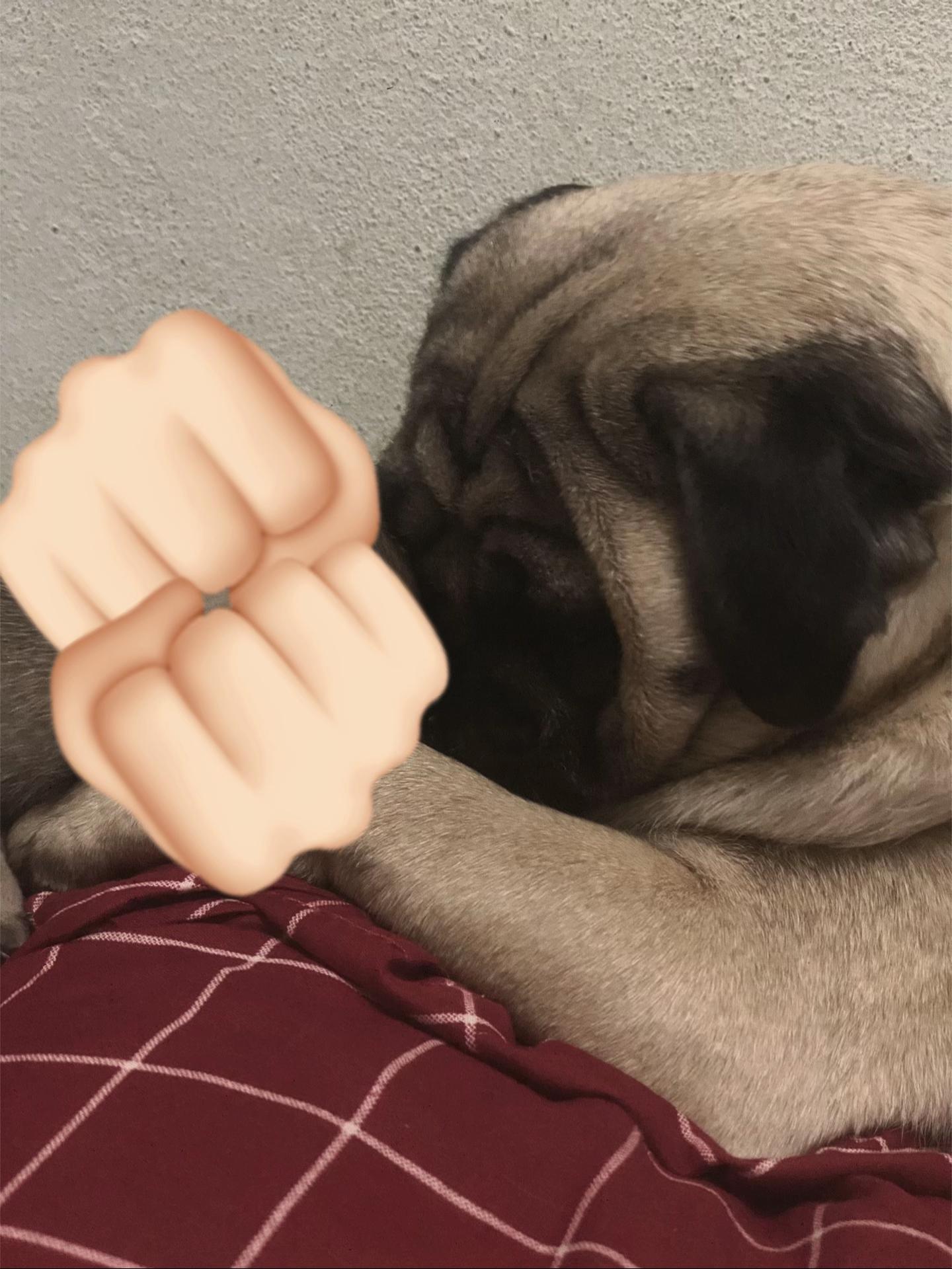@NumfonXaiyavong