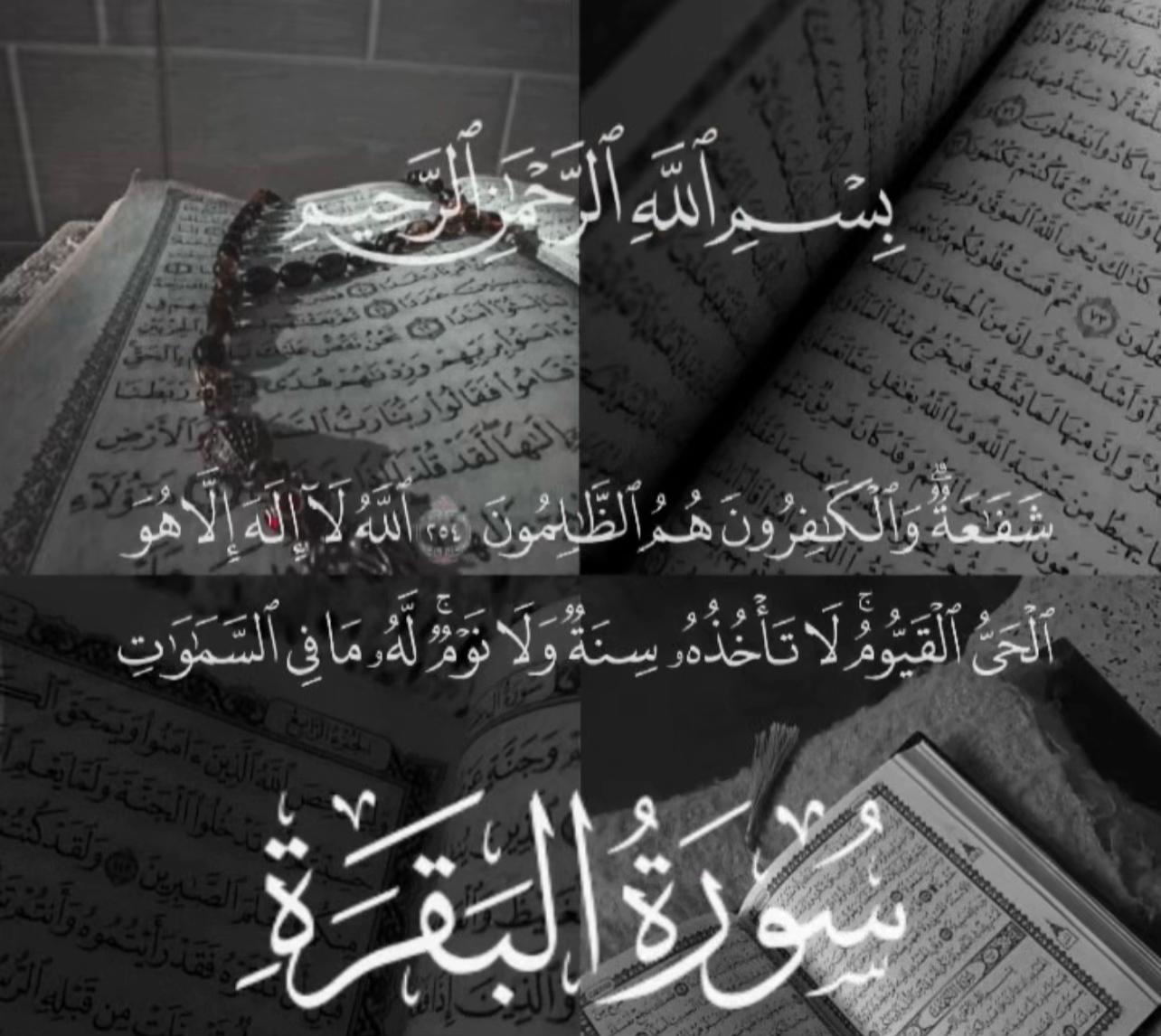 @Quran|| قُرْآن