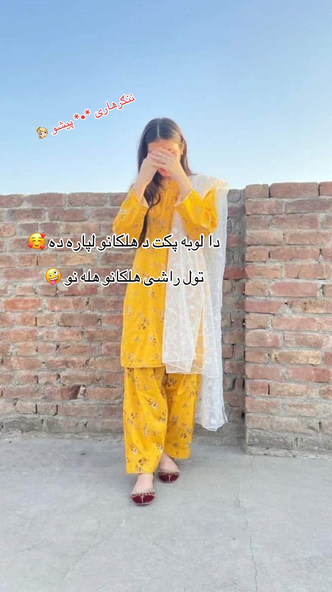 @ننګرهاری ☆♡☆ پیشو ☆♡☆
