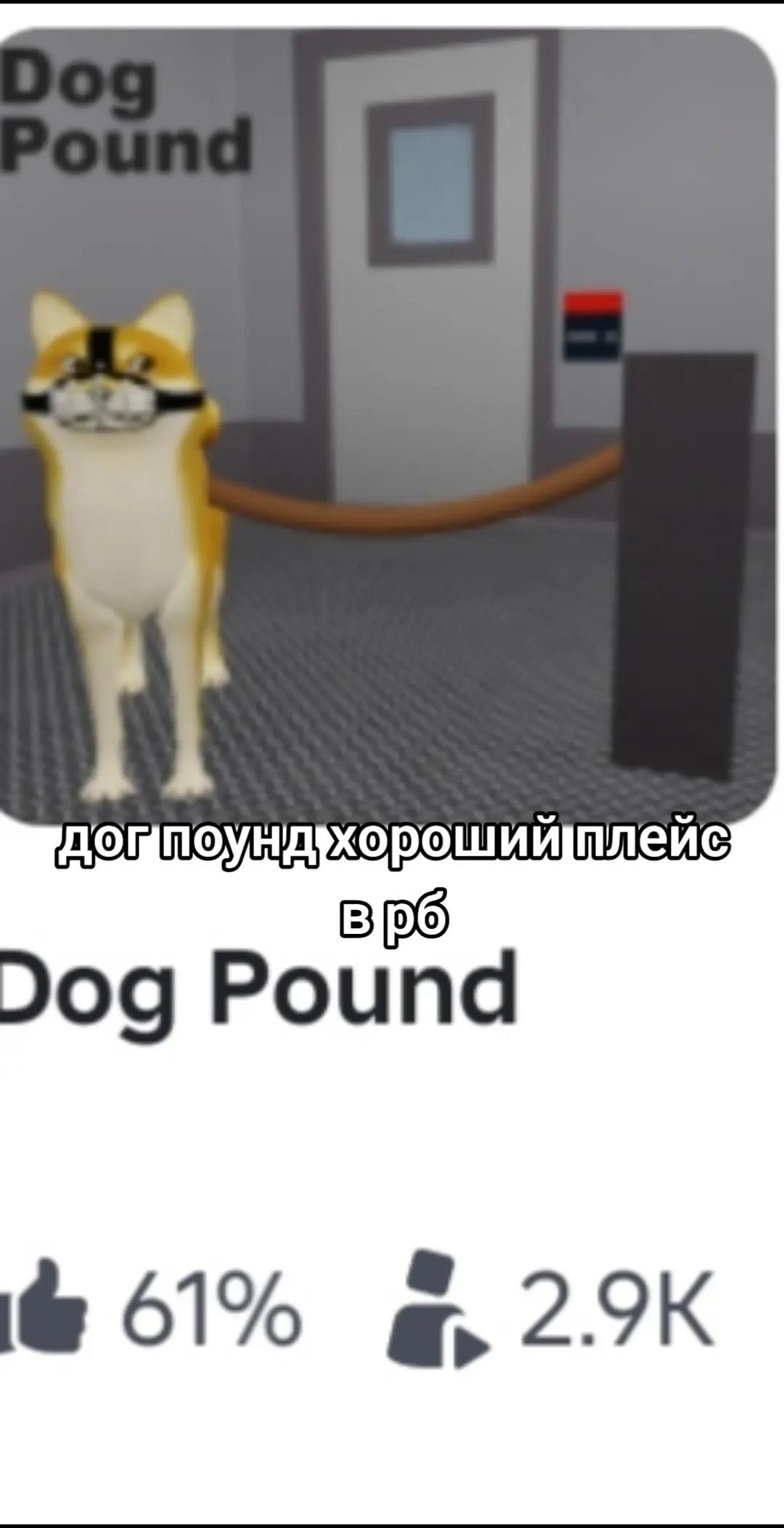 @вафля🧇