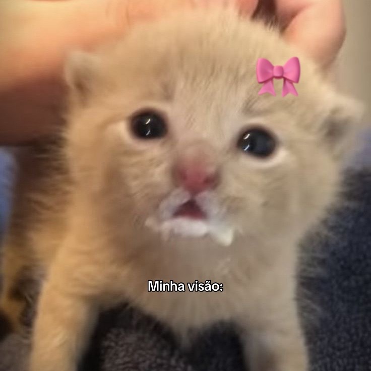 @𝓜𝓪𝓵𝓯𝓸𝔂 ⚯͛