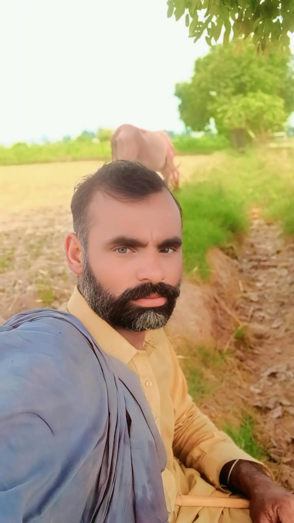 @Falak Sher Baloch