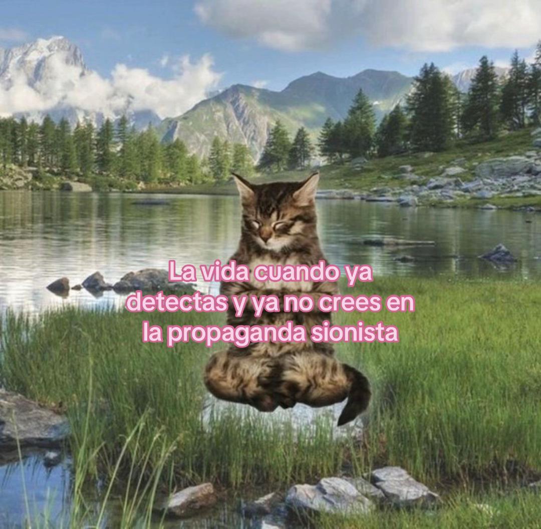 @chatanugget