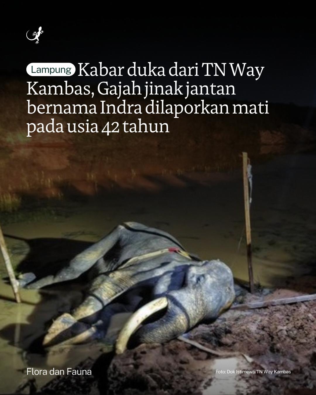 @mongabayindonesia