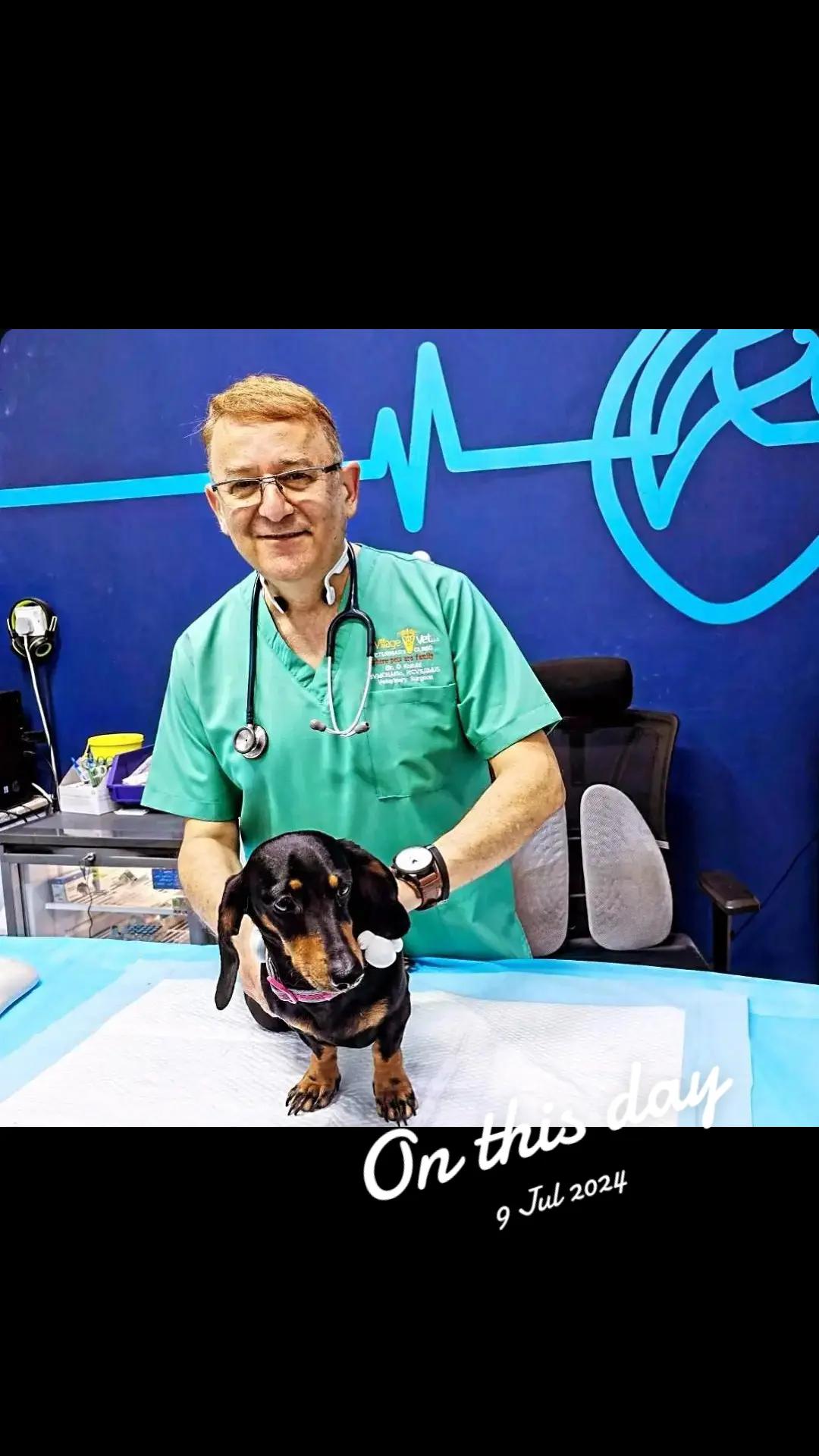 @VillagevVet LLC