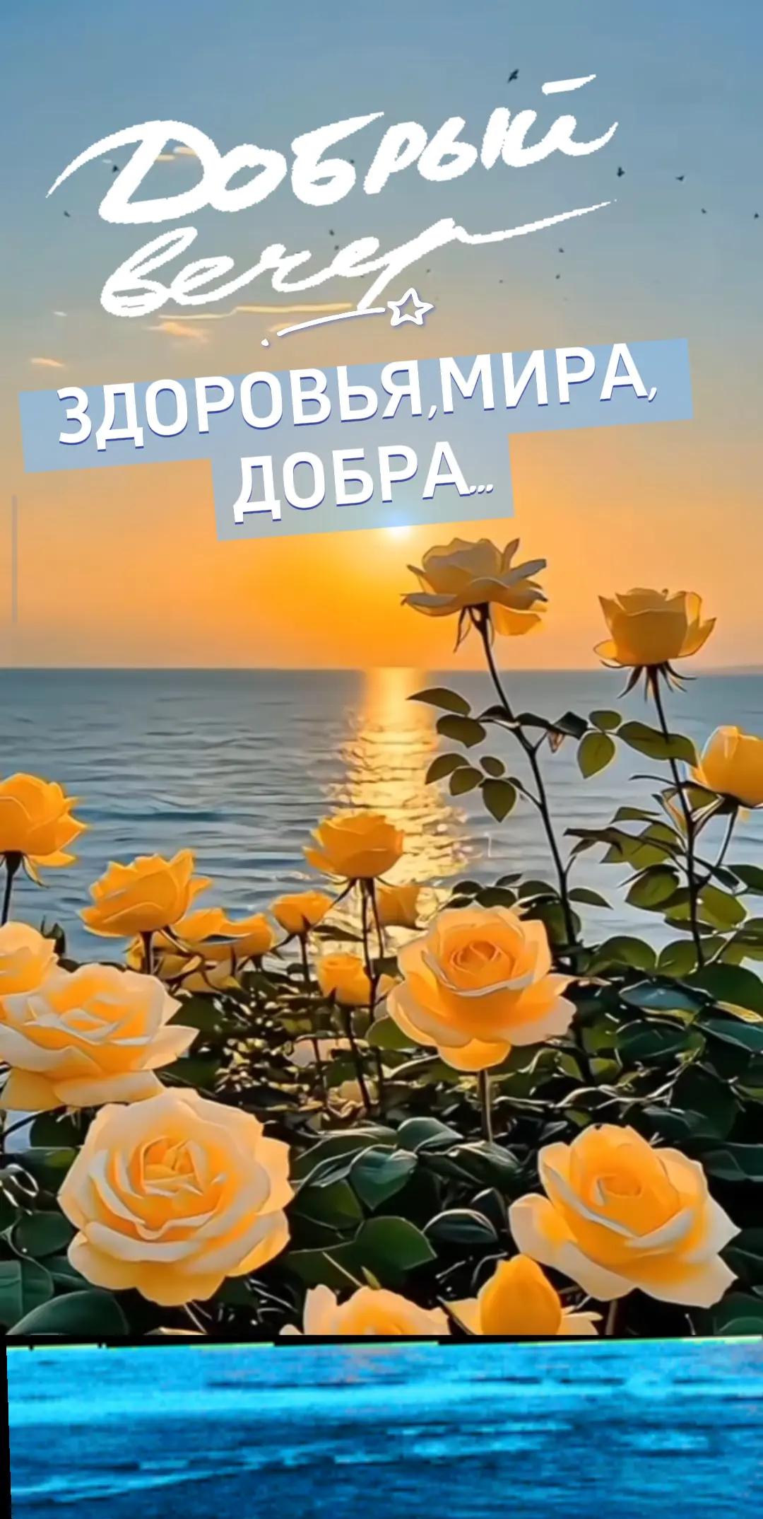 @NINA-WIOLET