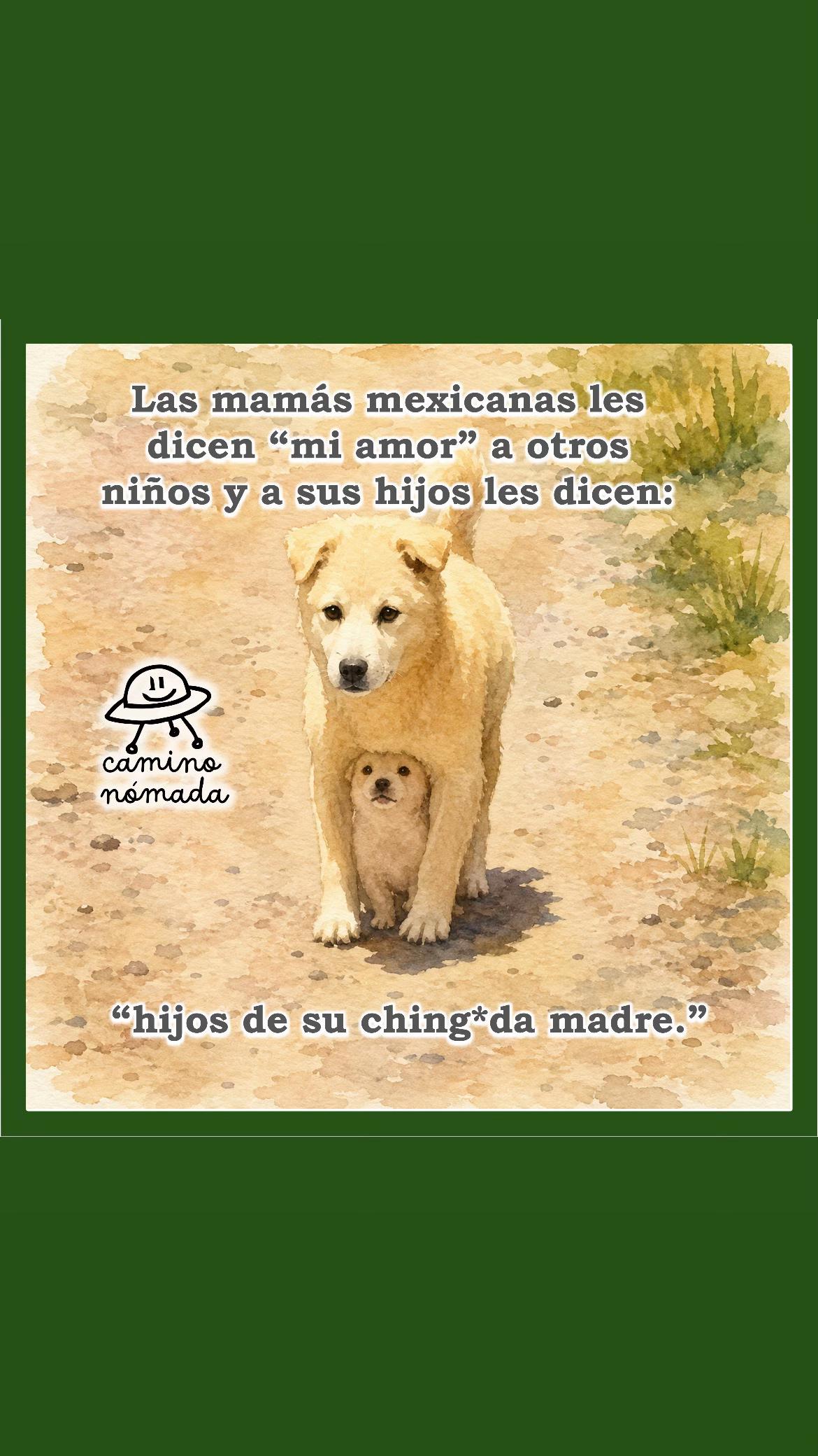 @Camino Nómada